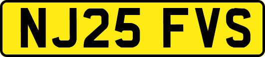 NJ25FVS
