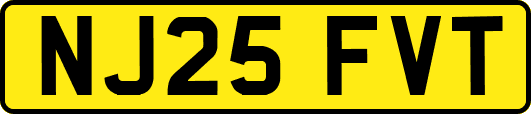 NJ25FVT