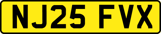 NJ25FVX
