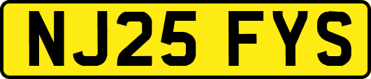 NJ25FYS