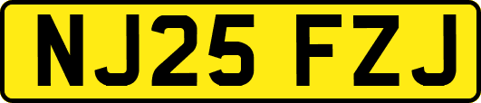 NJ25FZJ
