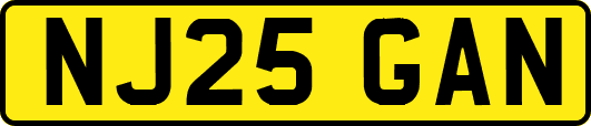 NJ25GAN