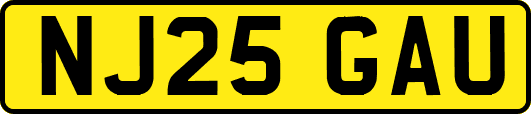 NJ25GAU