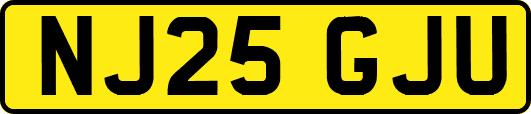 NJ25GJU