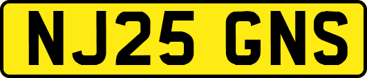 NJ25GNS
