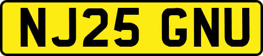 NJ25GNU