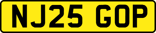 NJ25GOP