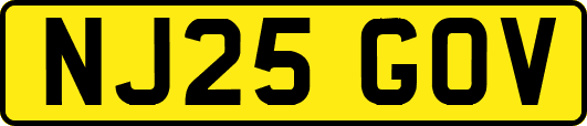NJ25GOV