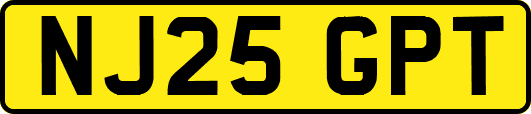 NJ25GPT