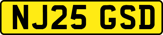 NJ25GSD