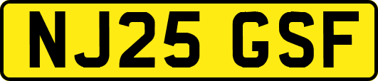 NJ25GSF