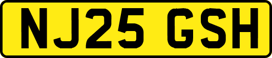 NJ25GSH