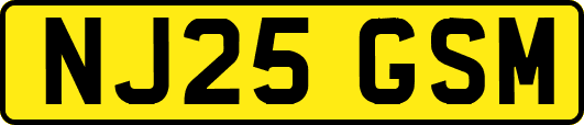 NJ25GSM