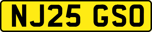 NJ25GSO