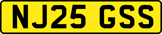 NJ25GSS