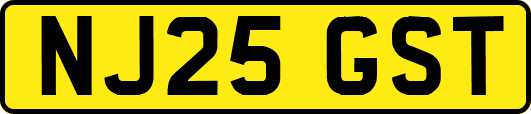 NJ25GST