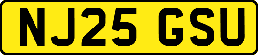 NJ25GSU
