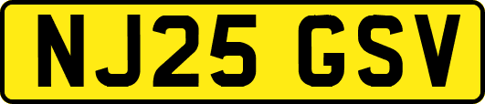 NJ25GSV