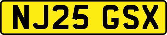 NJ25GSX