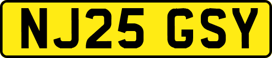NJ25GSY