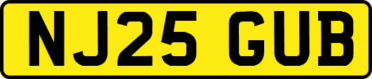 NJ25GUB