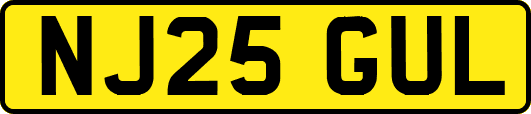 NJ25GUL