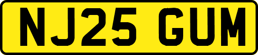 NJ25GUM
