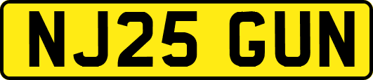 NJ25GUN