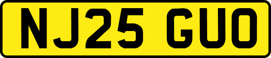 NJ25GUO