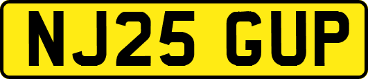 NJ25GUP