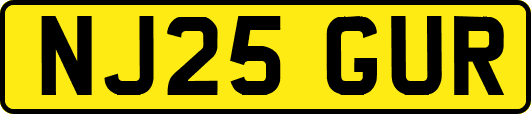 NJ25GUR
