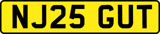 NJ25GUT