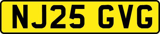 NJ25GVG