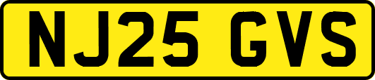 NJ25GVS