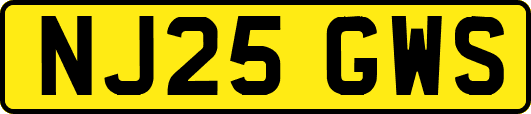 NJ25GWS