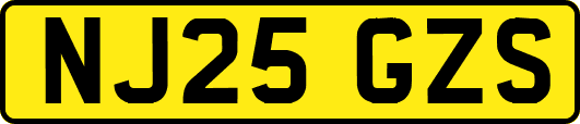 NJ25GZS