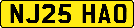 NJ25HAO