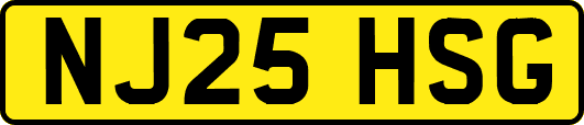 NJ25HSG