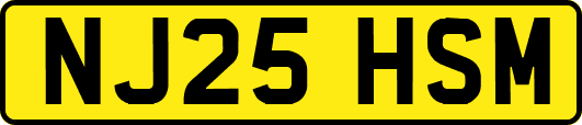 NJ25HSM