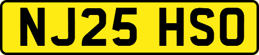 NJ25HSO