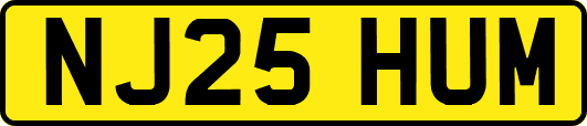 NJ25HUM