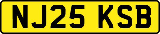 NJ25KSB
