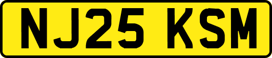 NJ25KSM