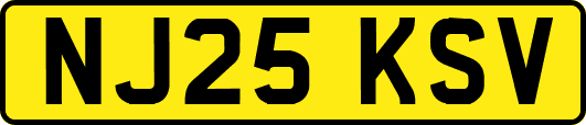 NJ25KSV