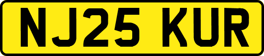 NJ25KUR