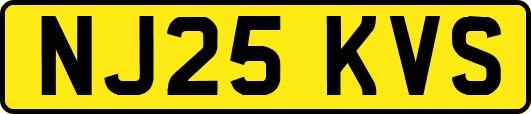 NJ25KVS