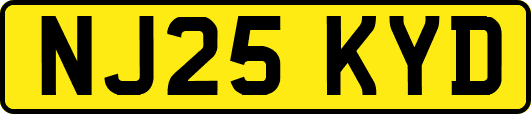 NJ25KYD