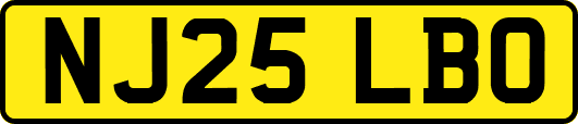 NJ25LBO