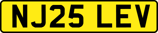 NJ25LEV
