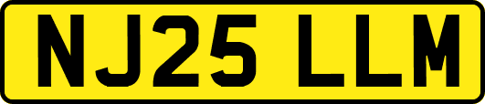 NJ25LLM